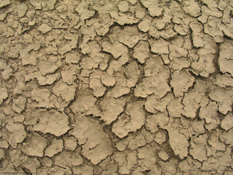 �� ��� ������ ������