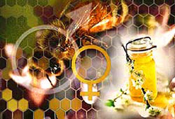 علاج الأمراض بالعسل