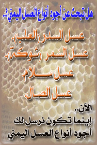 ������ ������ - ����� ���� ����� �����