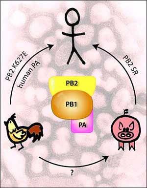 �������� ��������