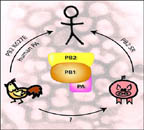 �������� �������� ������ ���������� ����� �������� �� ������ ��� �������